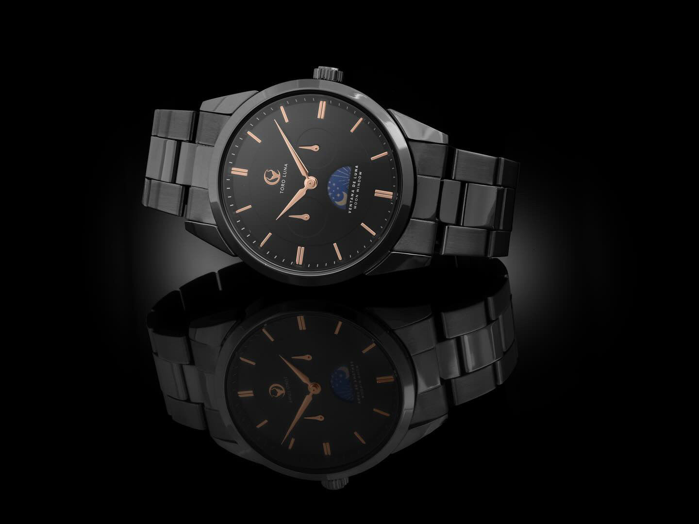 Toro Luna Apollo (Metal & Leather Men's Watch Strap Combo)