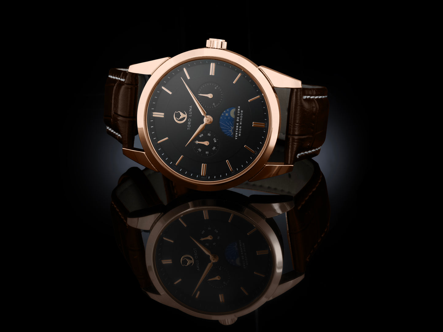 Toro Luna Helios (Metal & Leather Men's Watch Strap Combo)