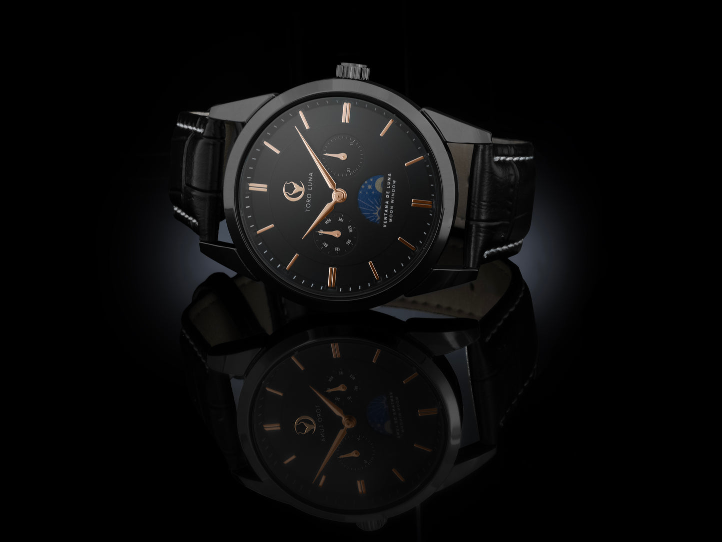 Toro Luna Apollo (Metal & Leather Men's Watch Strap Combo)