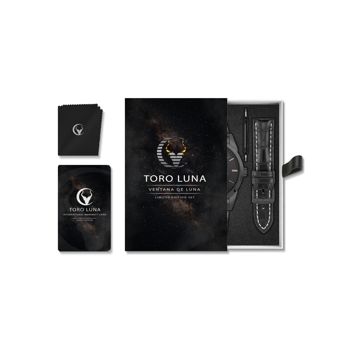 Toro Luna Apollo (Metal & Leather Men's Watch Strap Combo)