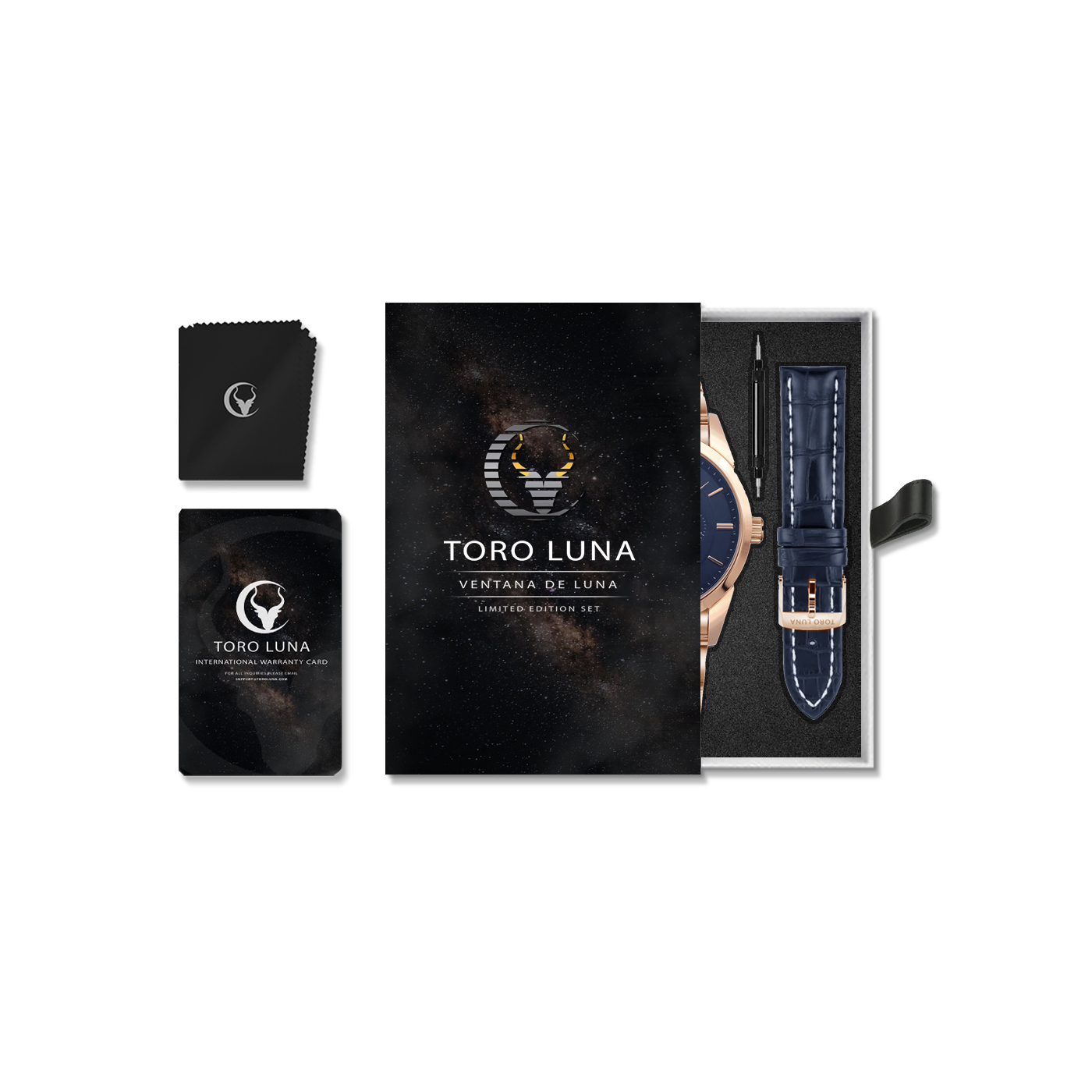 Toro Luna Plutus (Metal & Leather Men's Watch Strap Combo)