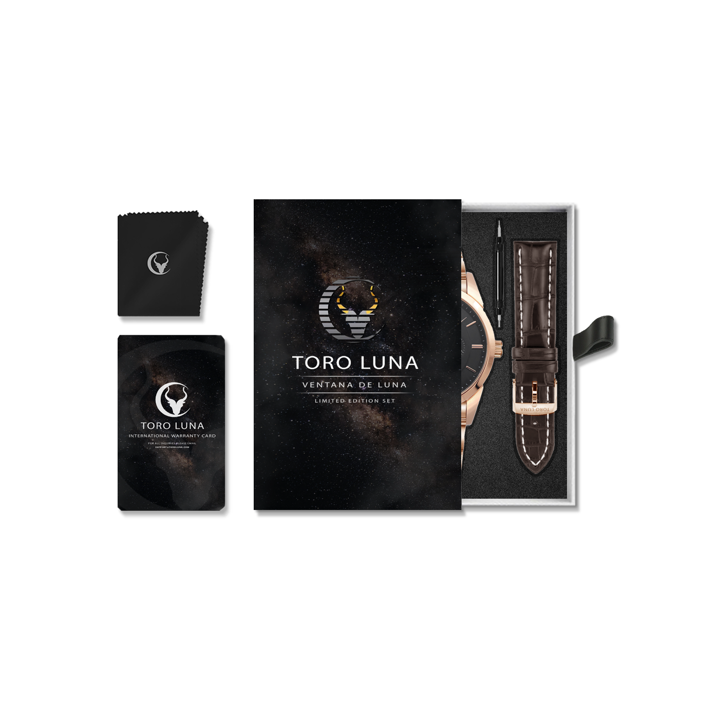 Toro Luna Helios (Metal & Leather Men's Watch Strap Combo)