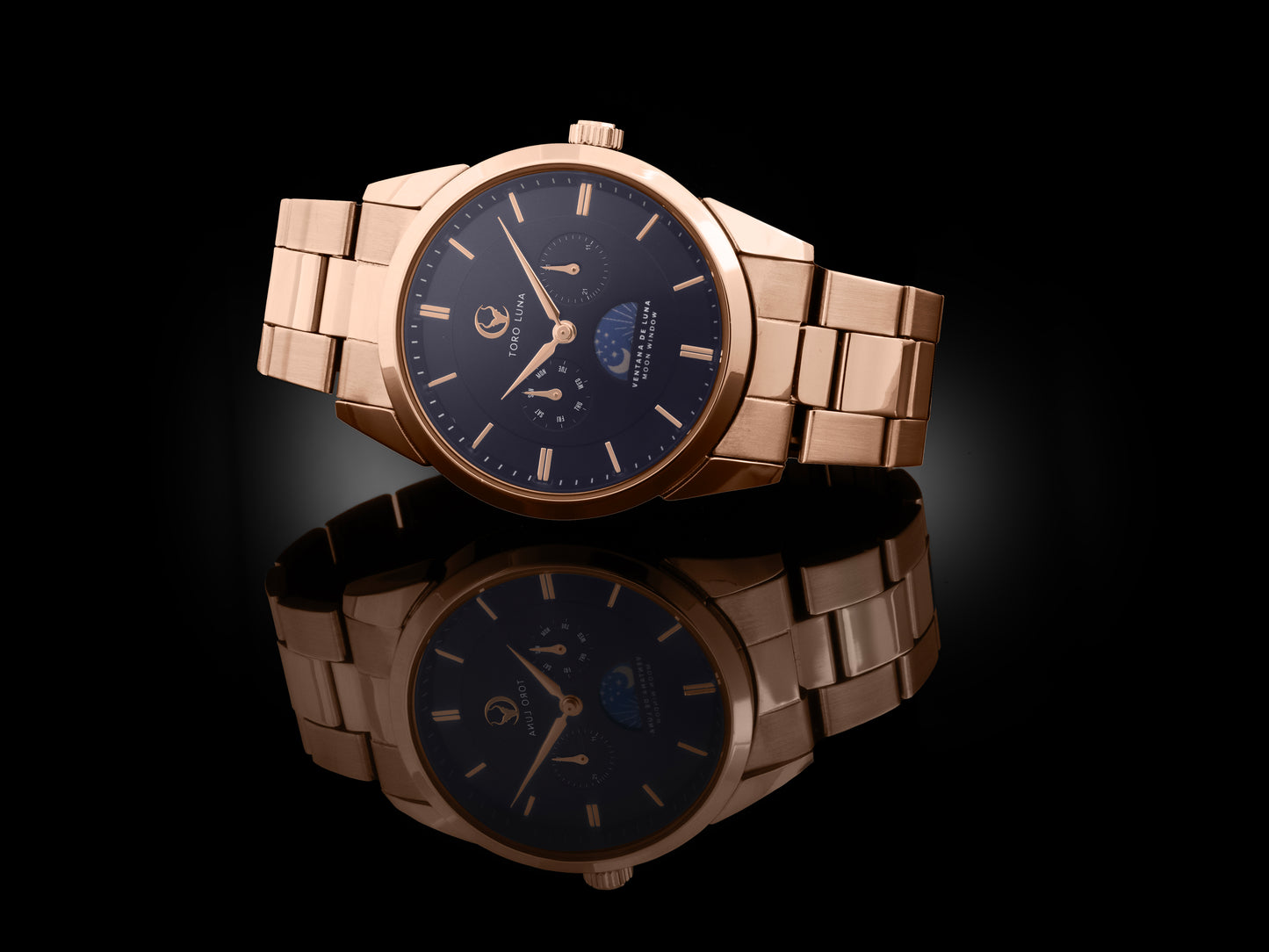 Toro Luna Plutus (Metal & Leather Men's Watch Strap Combo)