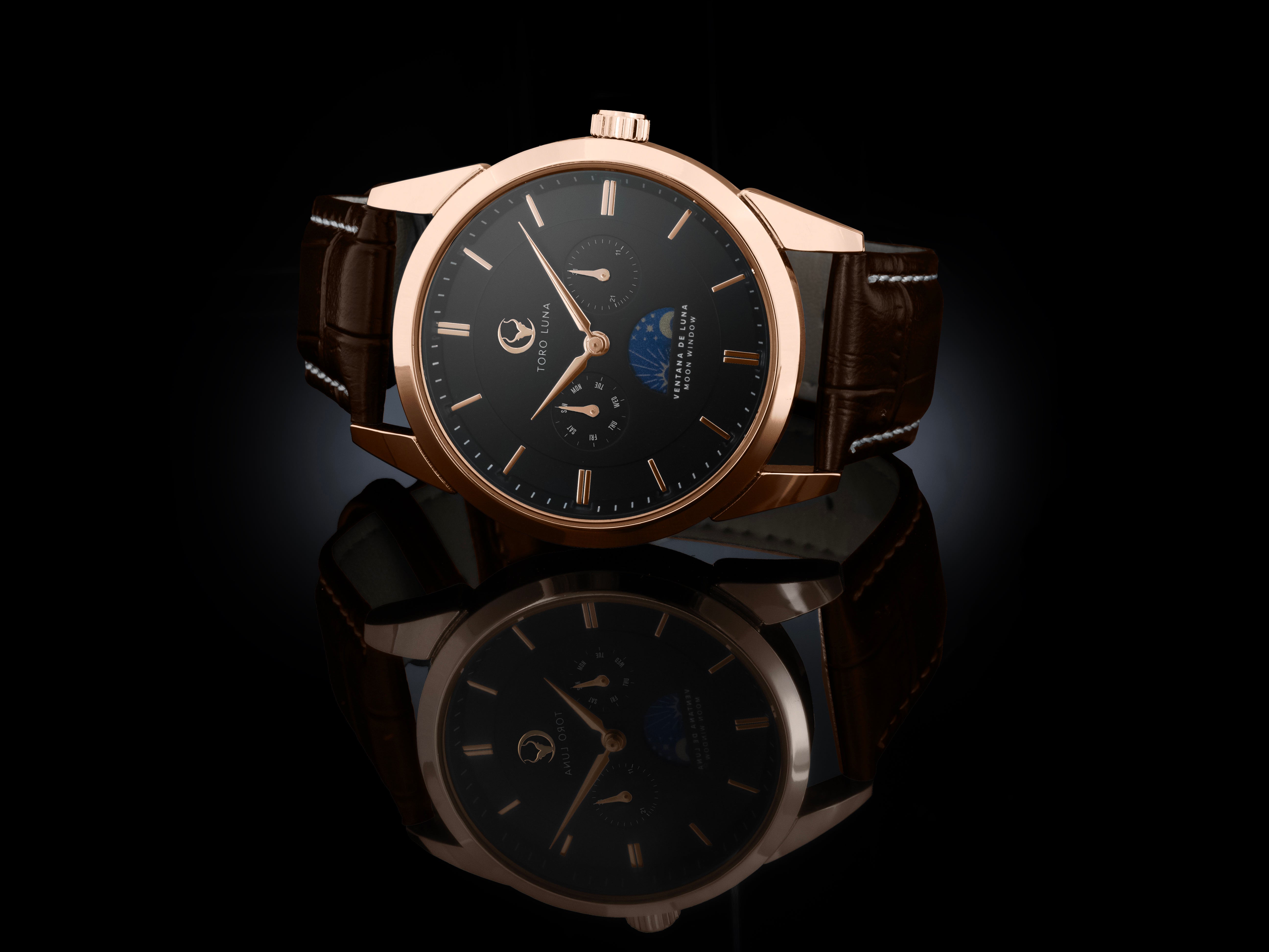 Toro Luna Helios (Metal & Leather Men's Watch Strap Combo)