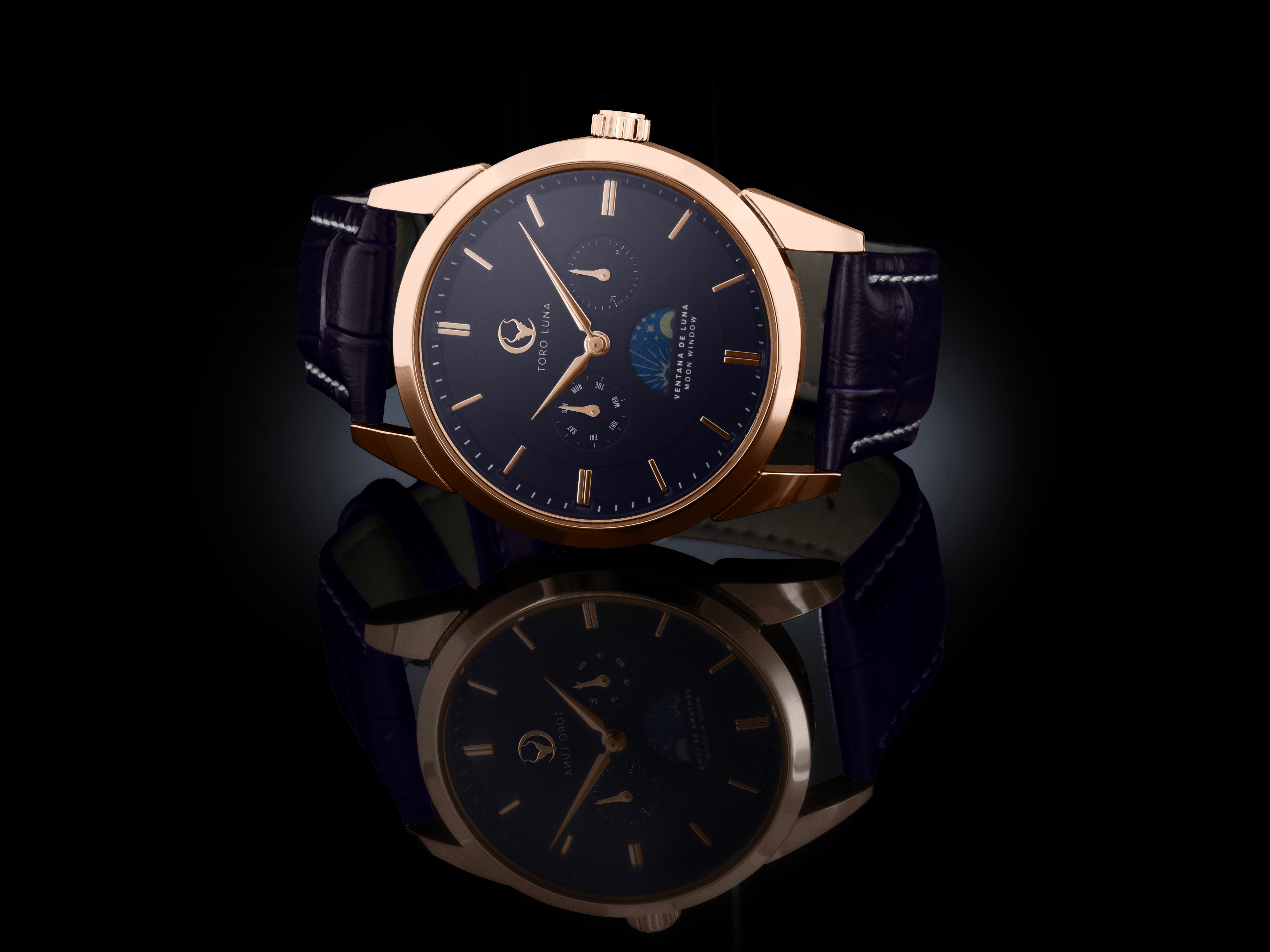 Toro Luna Plutus (Metal & Leather Men's Watch Strap Combo)