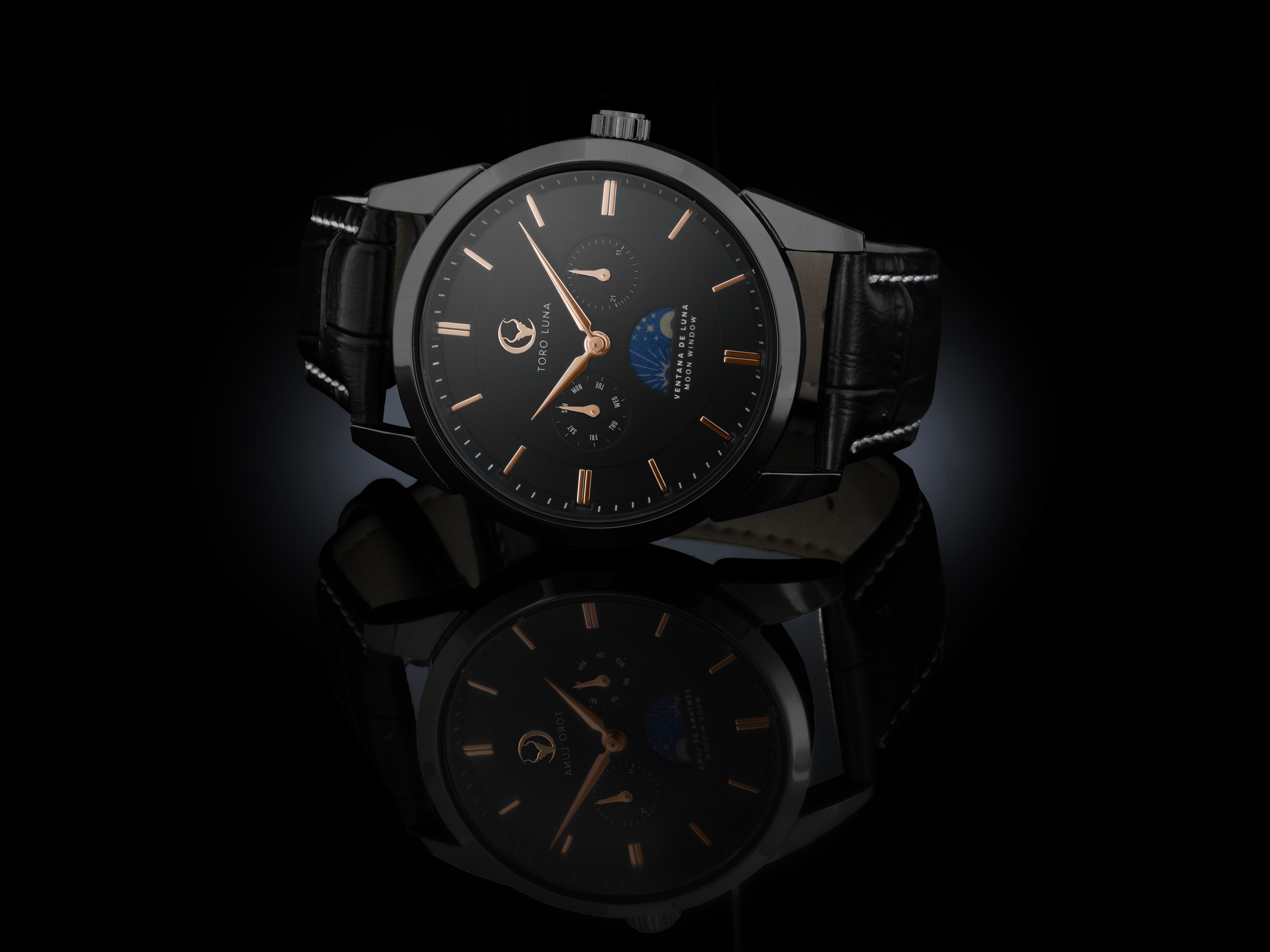Toro Luna Apollo (Metal & Leather Men's Watch Strap Combo)