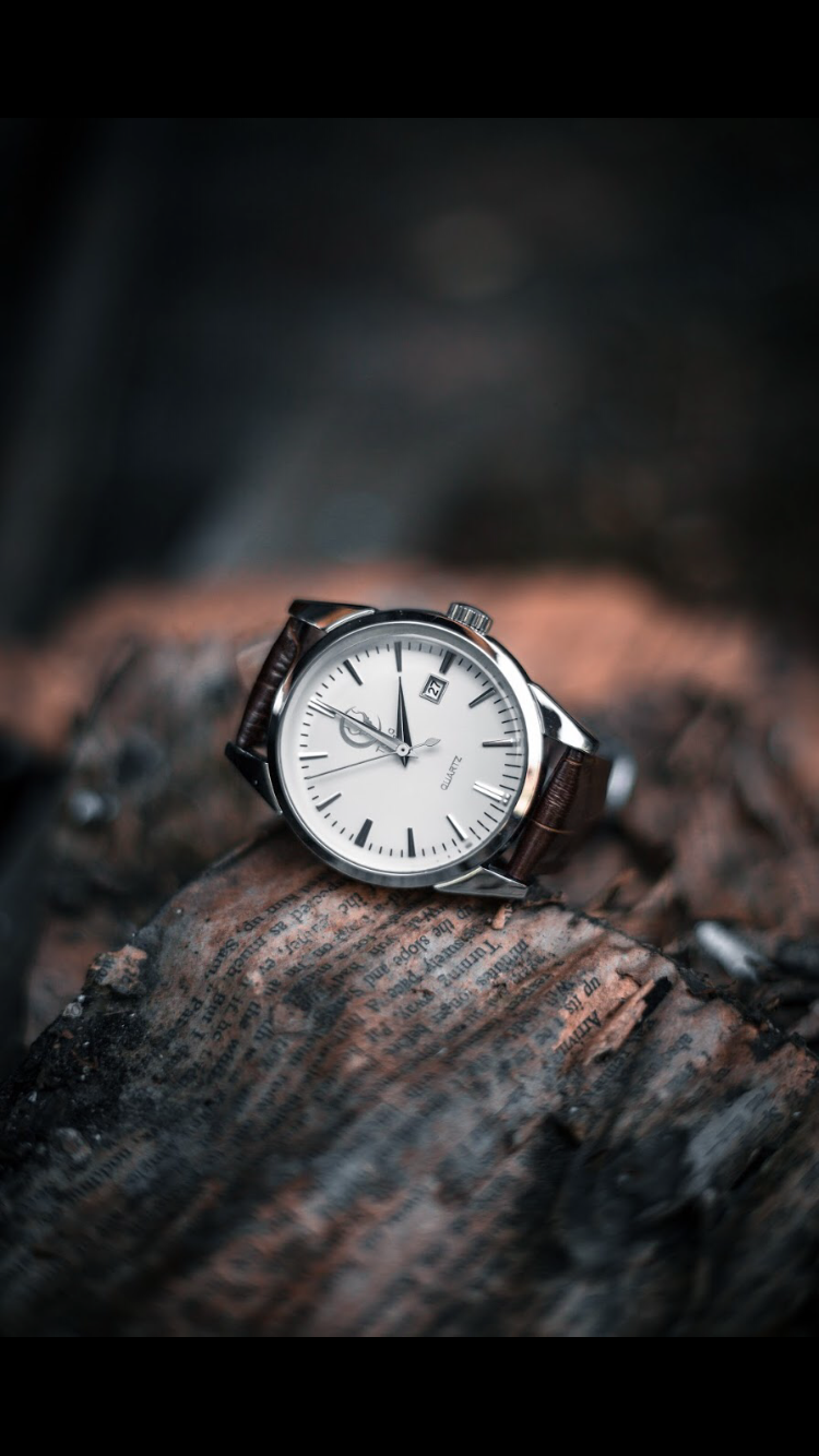 Campeón - Silver / Brown Crocodile Leather Strap Quartz Watch 38mm lifestyle image 2