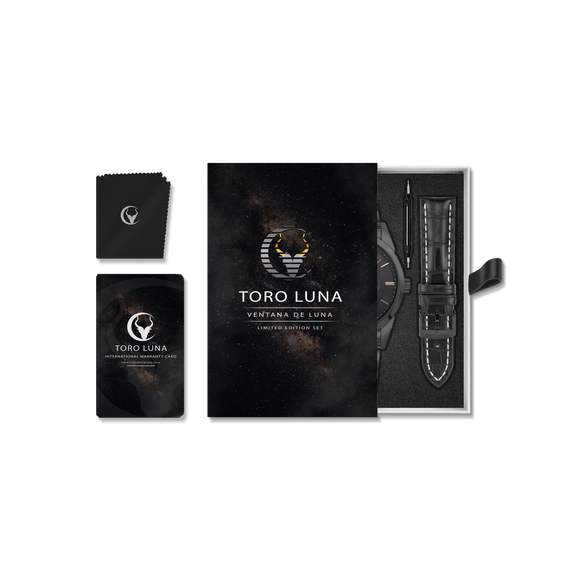 Toro Luna Apollo (Metal & Leather Men's Watch Strap Combo)
