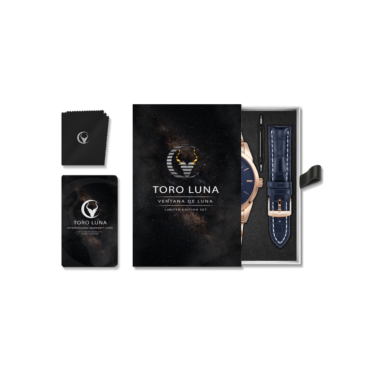 Toro Luna Plutus (Metal & Leather Men's Watch Strap Combo)