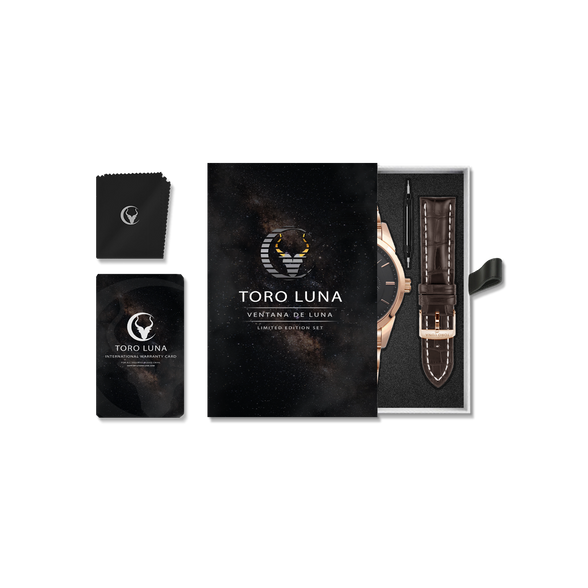 Toro Luna Helios (Metal & Leather Men's Watch Strap Combo)