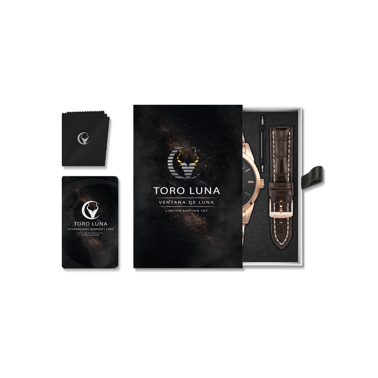 Toro Luna Helios (Metal & Leather Men's Watch Strap Combo)