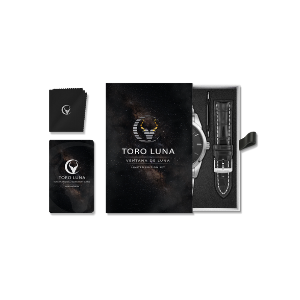 Toro Luna Cronus (Metal & Leather Men's Watch Strap Combo)