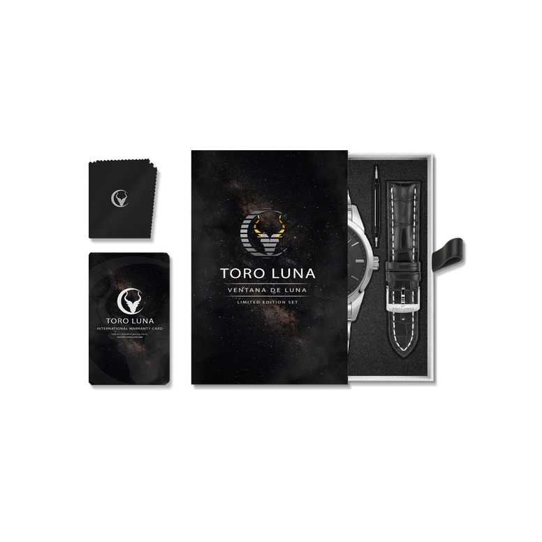 Toro Luna Cronus (Metal & Leather Men's Watch Strap Combo)