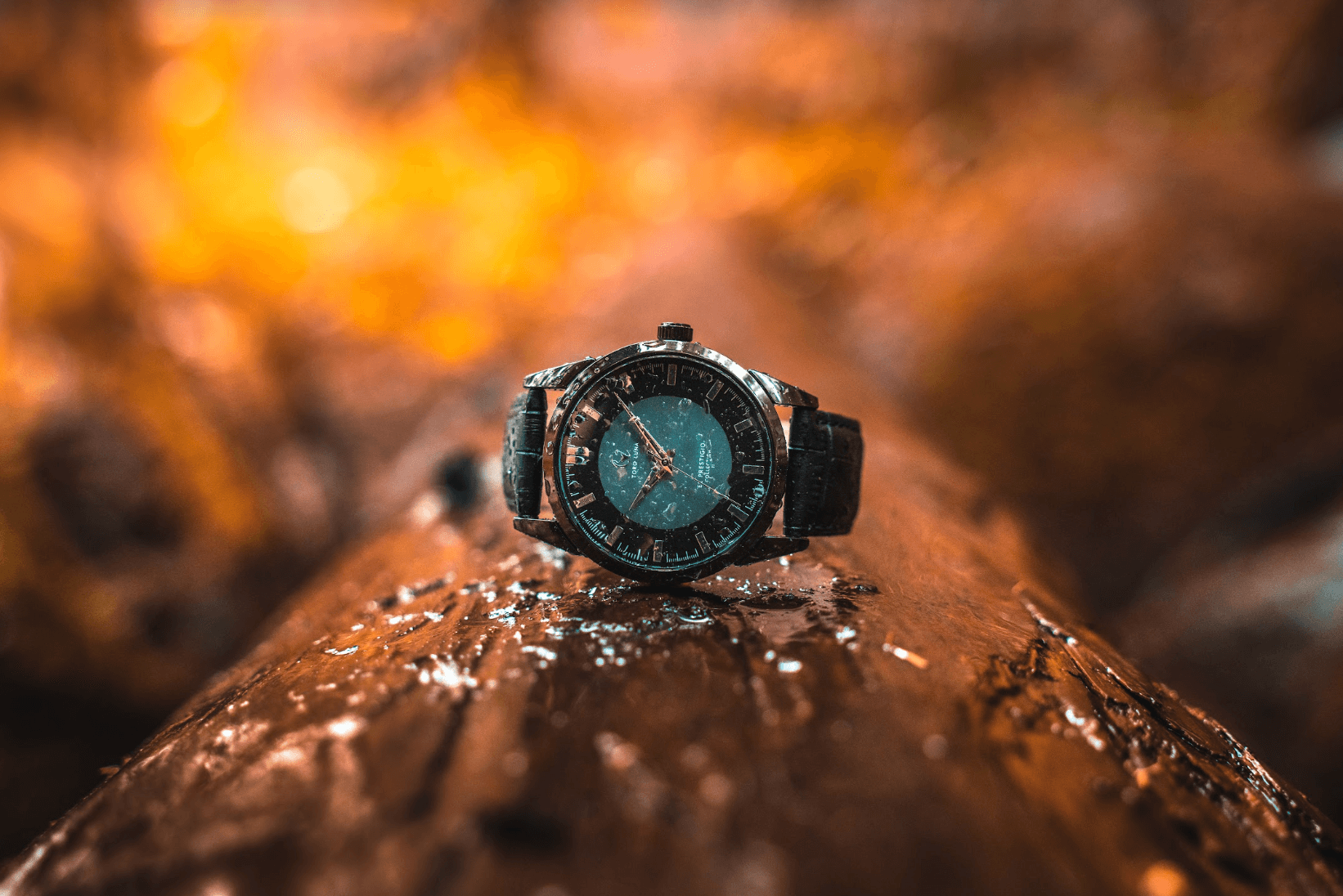 Toro Luna Watches | Elevate Your Style with Exquisite Timepieces